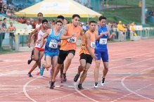 Favoritos para las Justas, las Taínas y los Tigres